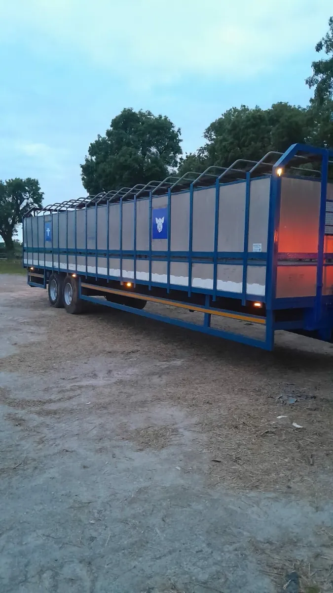 Cattle trailer - Image 4