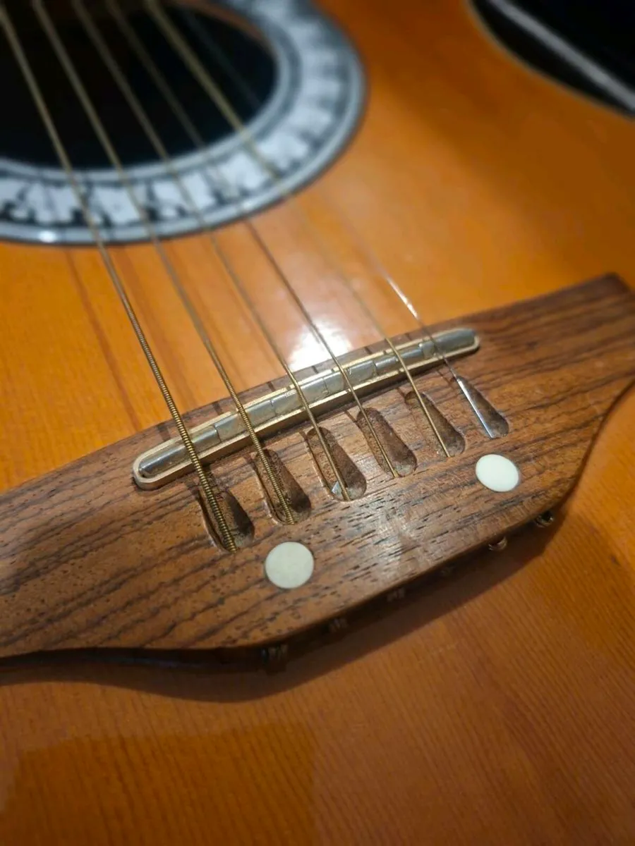 1970's Encore Acoustic made in Italy/Japan - Image 3