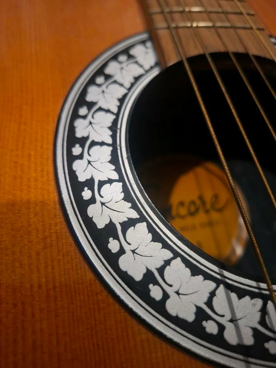 1970's Encore Acoustic made in Italy/Japan - Image 4