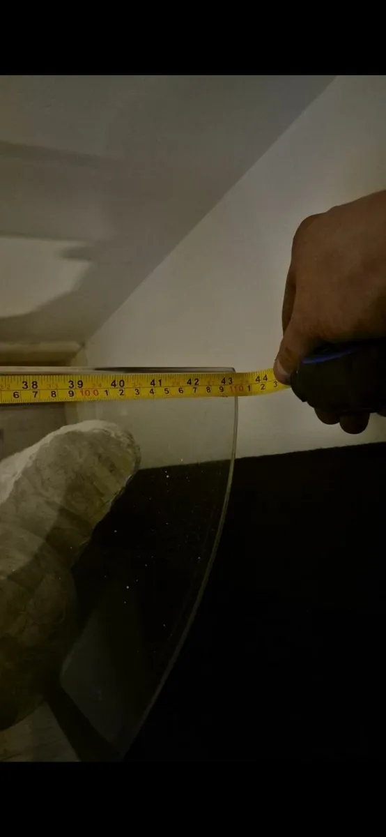 Hall table - Image 2