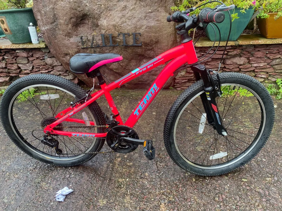 Brand new 24”girls bike - Image 1