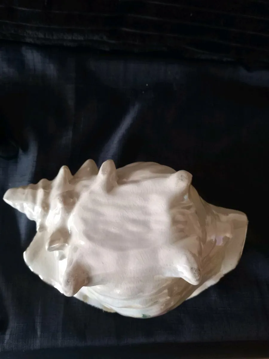 2 Conch Shell Planters - Image 3
