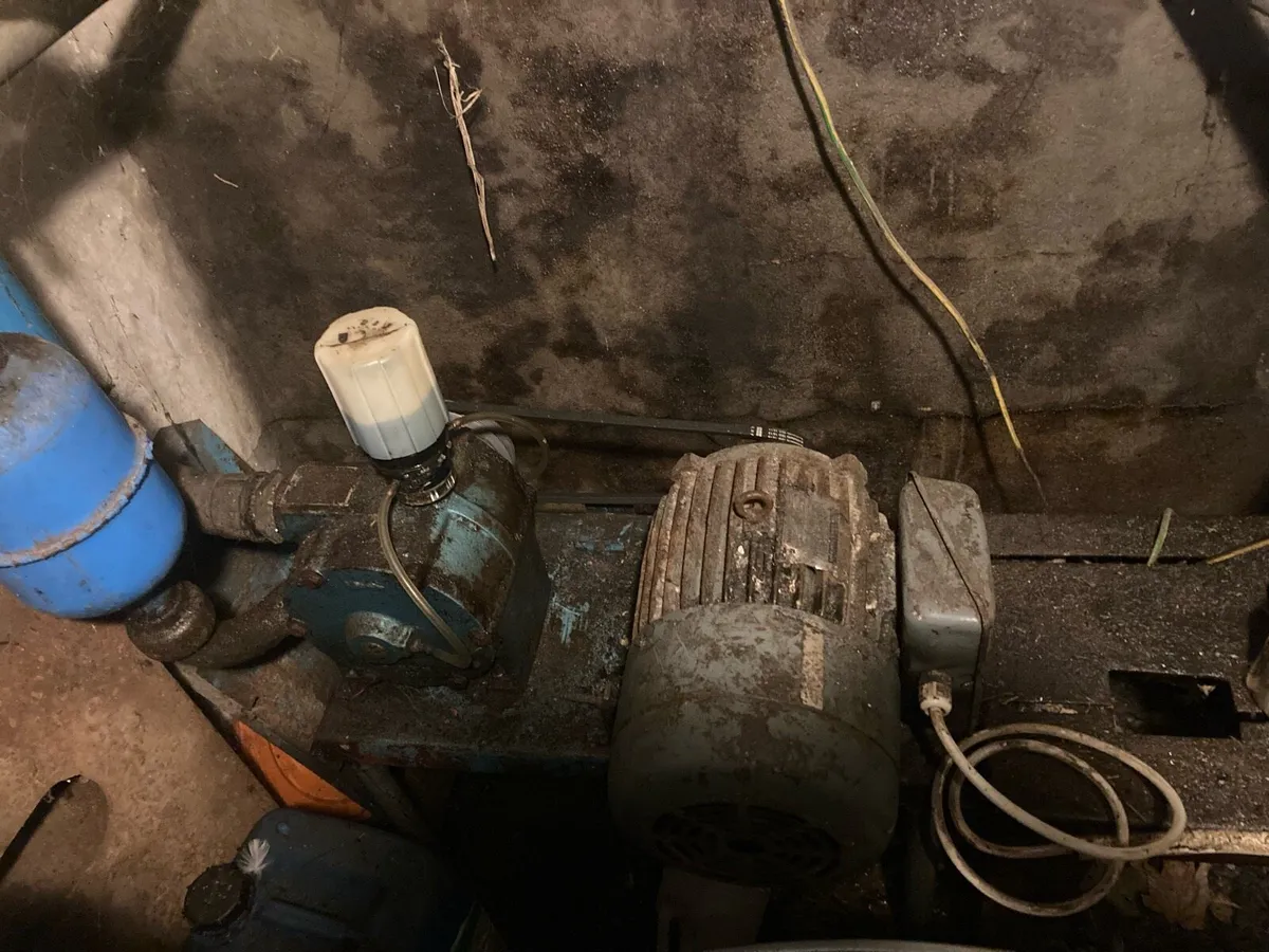 Cashman feeders - Image 1