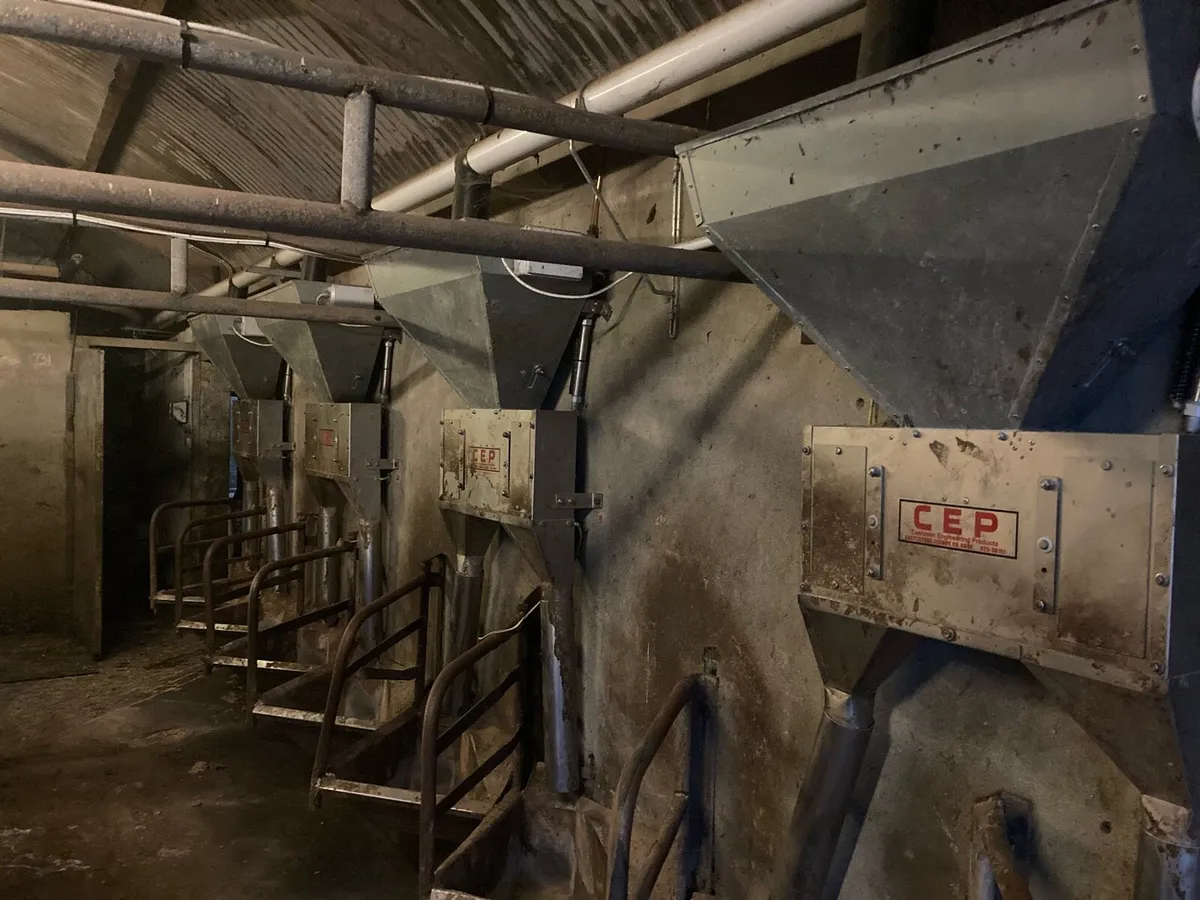 Cashman feeders - Image 2