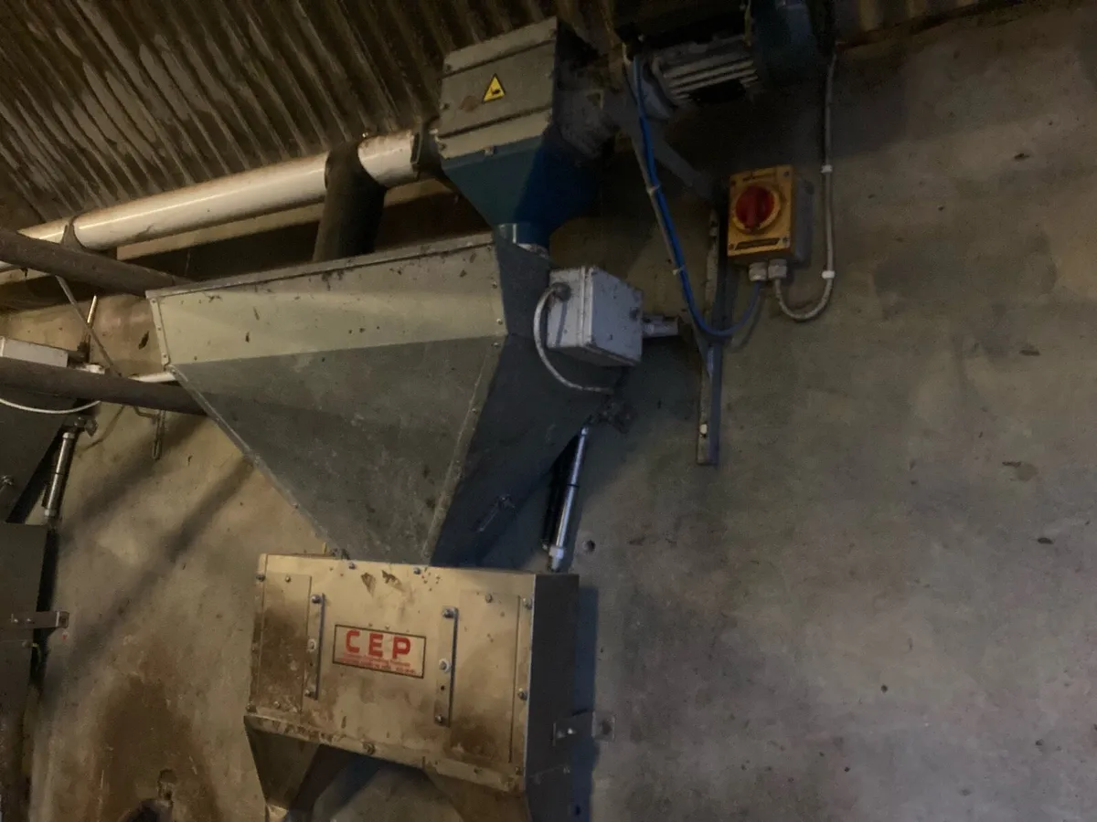 Cashman feeders - Image 3