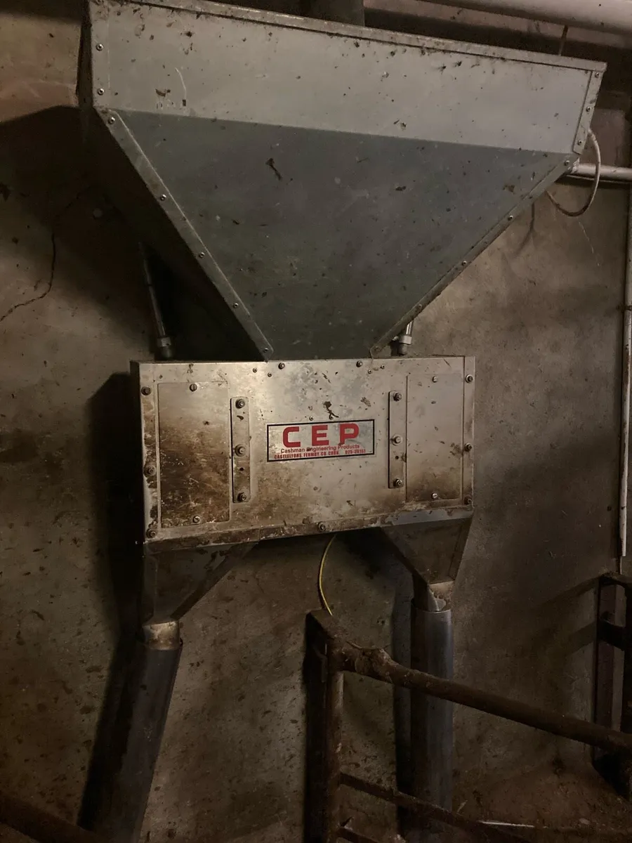 Cashman feeders - Image 4