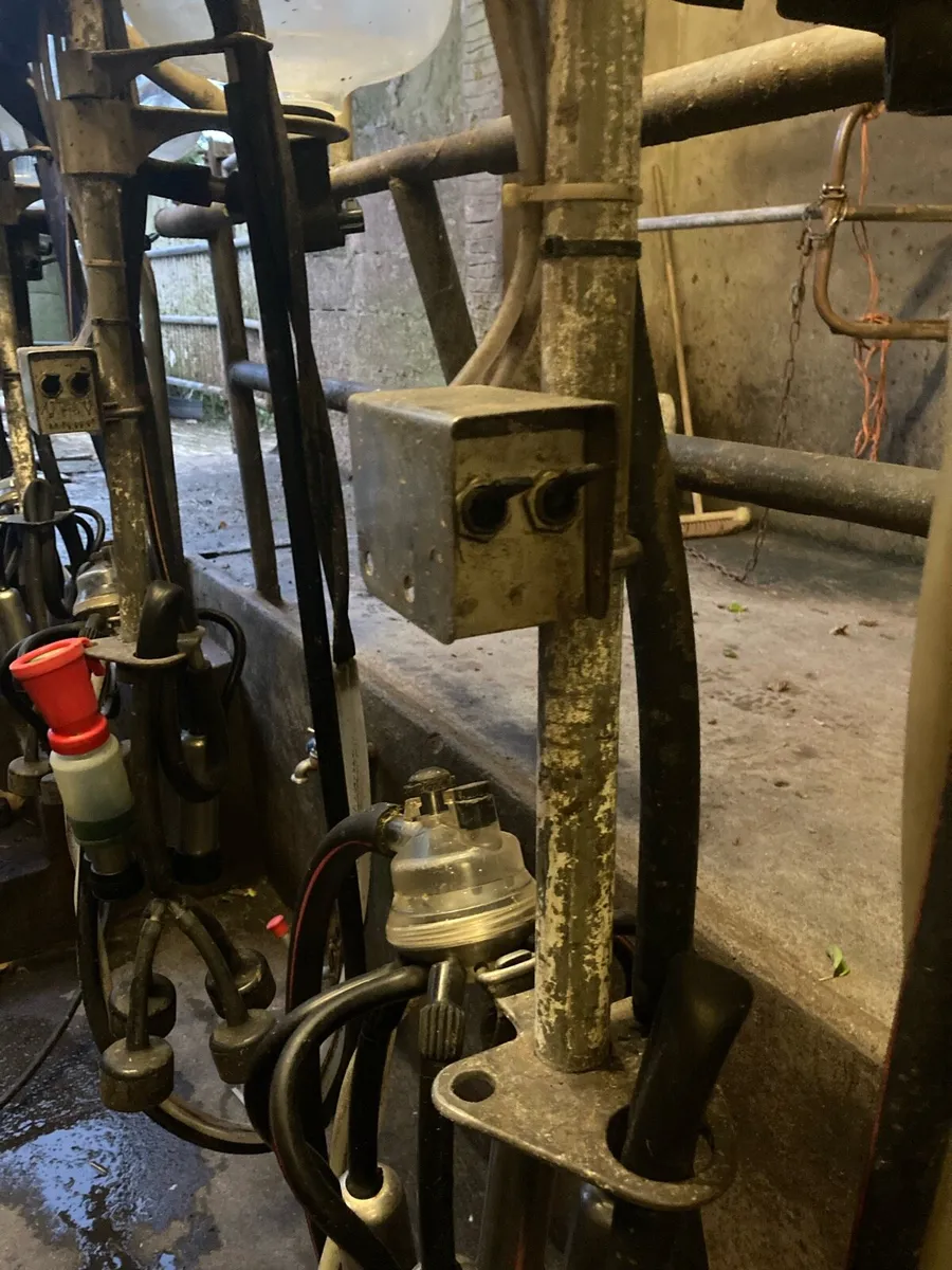 Milking parlour - Image 4