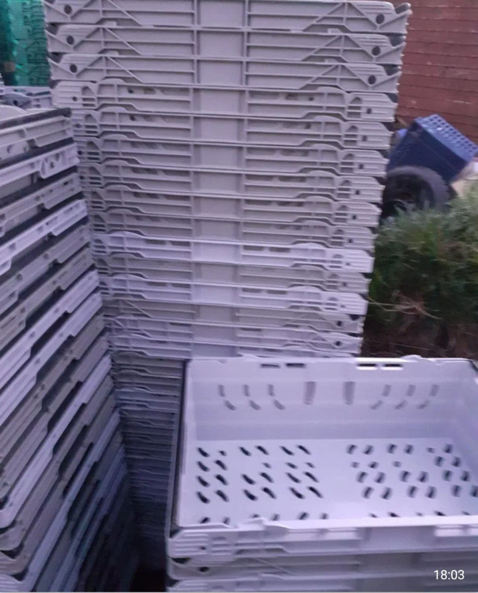 Storage stacking crates  brand new 2e each - Image 4