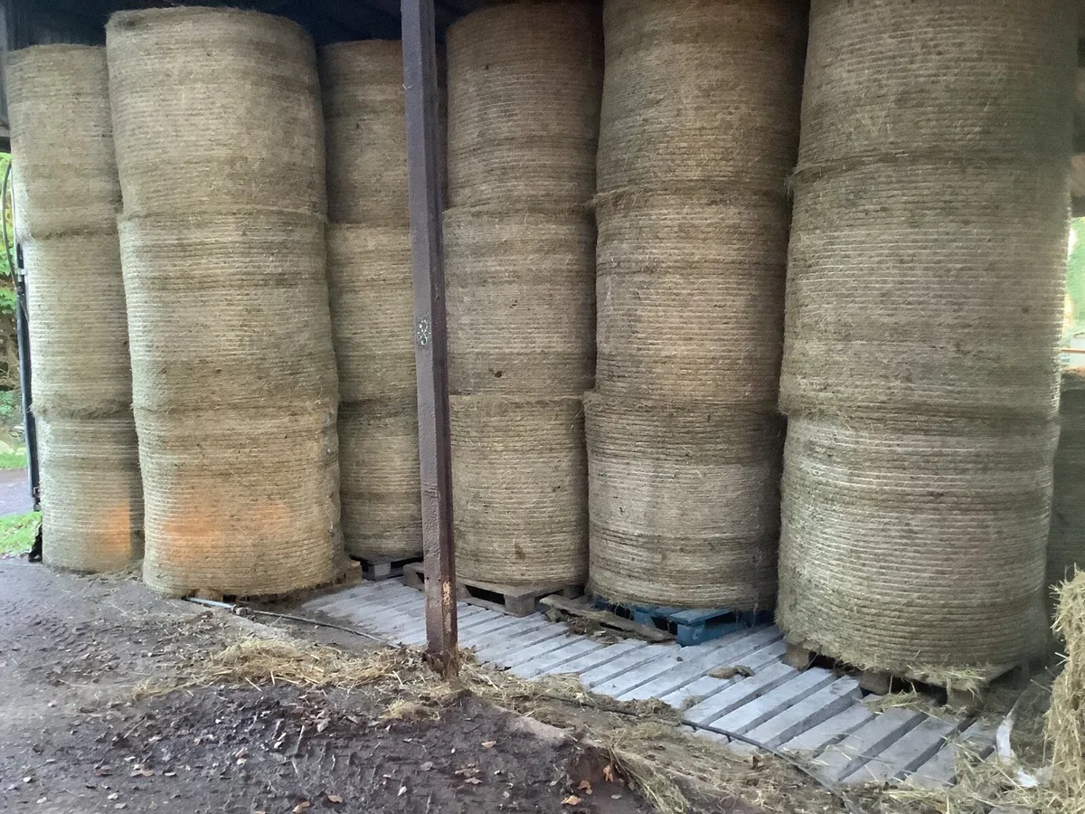 Haylage silage and hay - Image 3