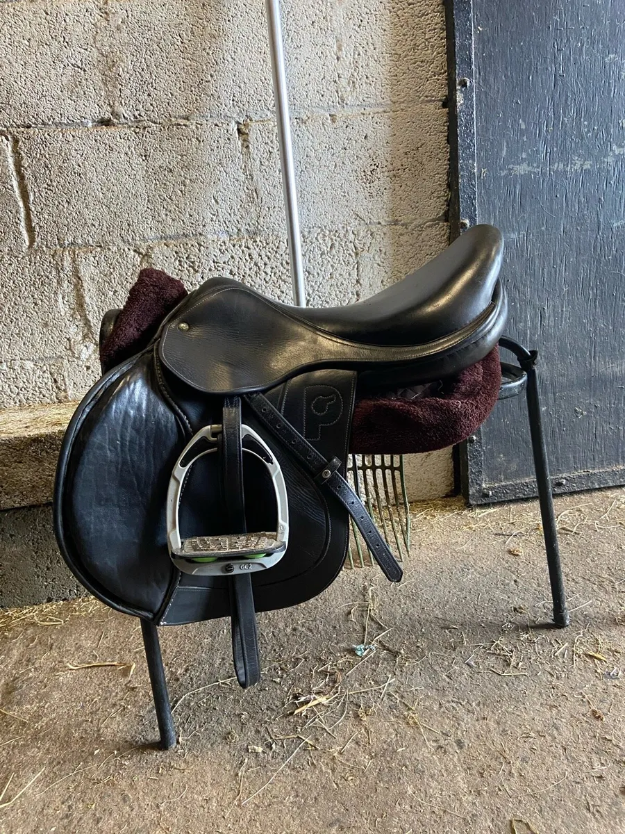 Jumping saddle 17.5
