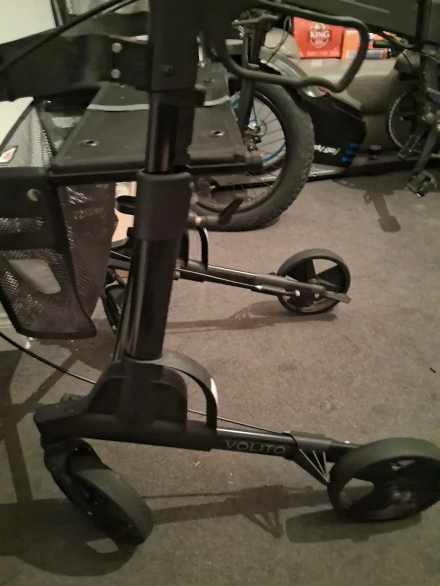 Mirror and adults walker - Image 2