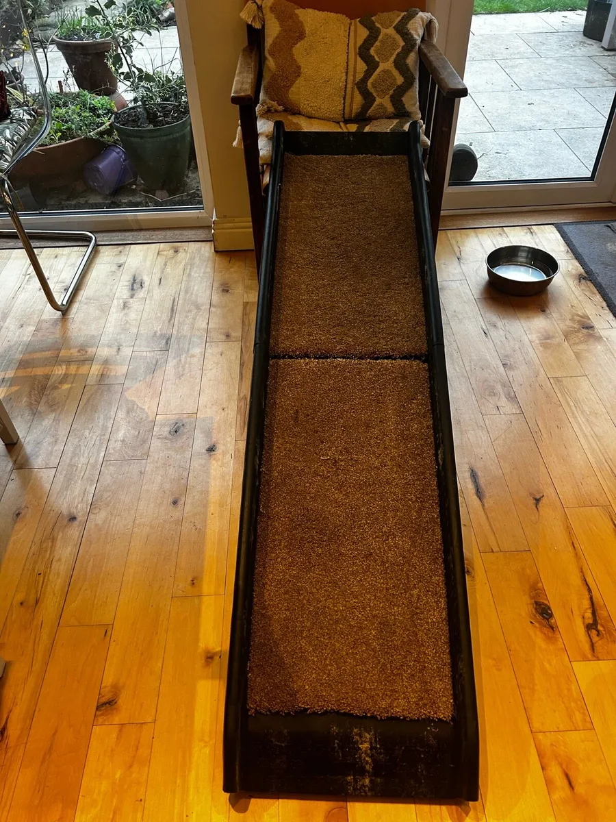Dog ramp - Image 1