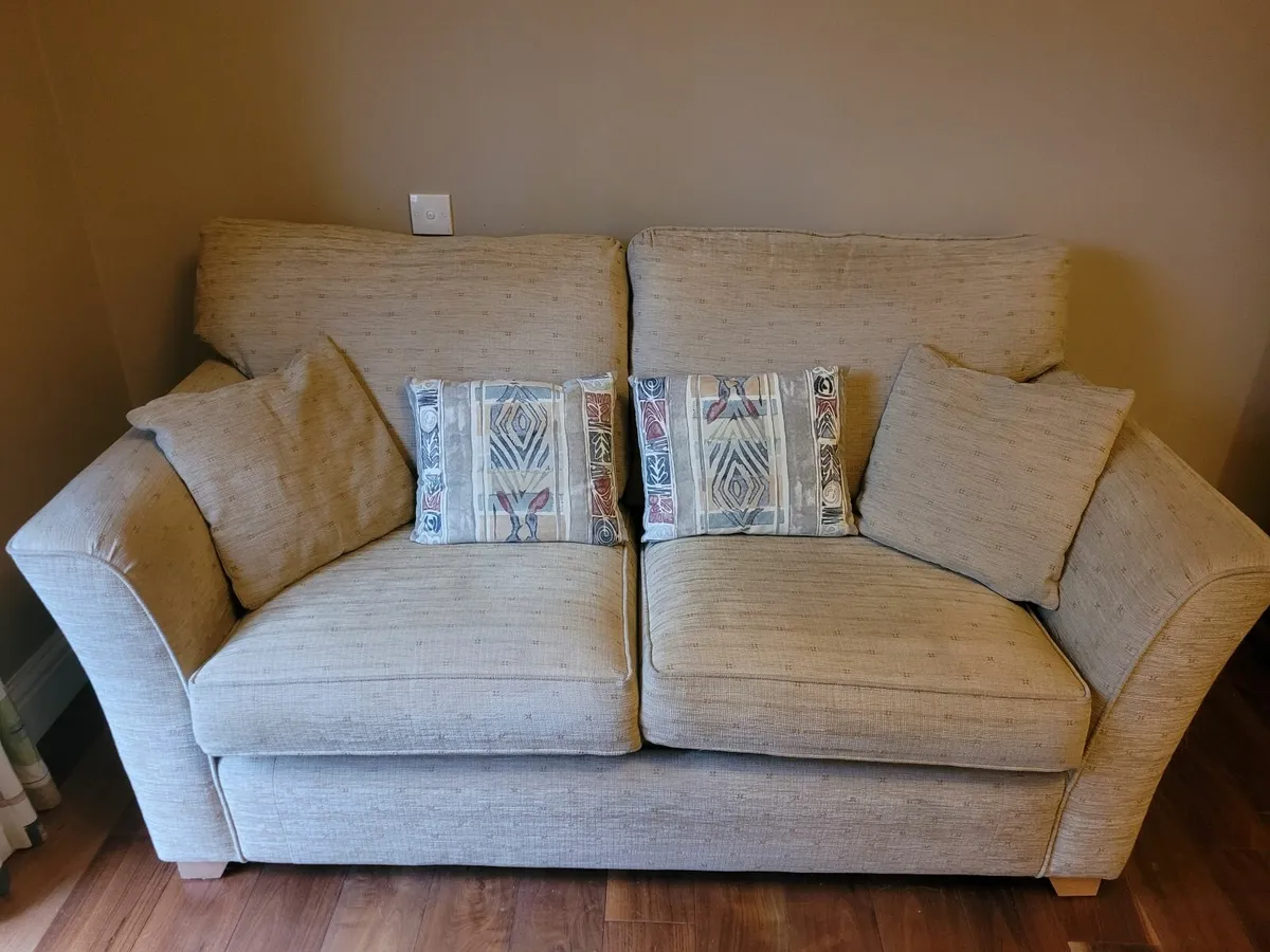 Alston 2-seater sofabed - Image 1