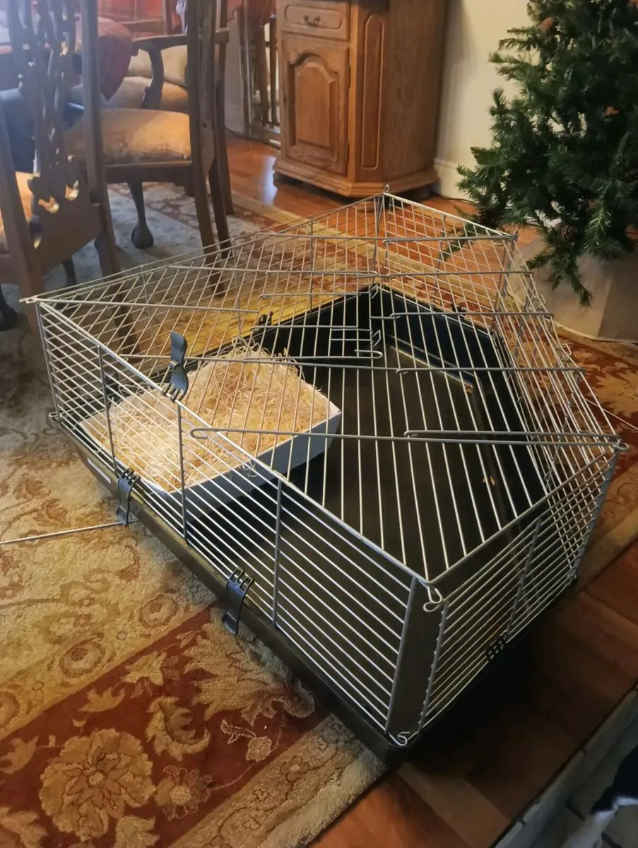 Large pet cage 80 euro - Image 1