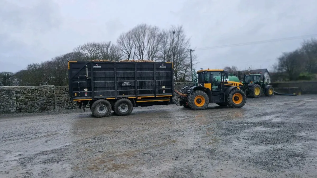 Beet silage rolled barley - Image 2