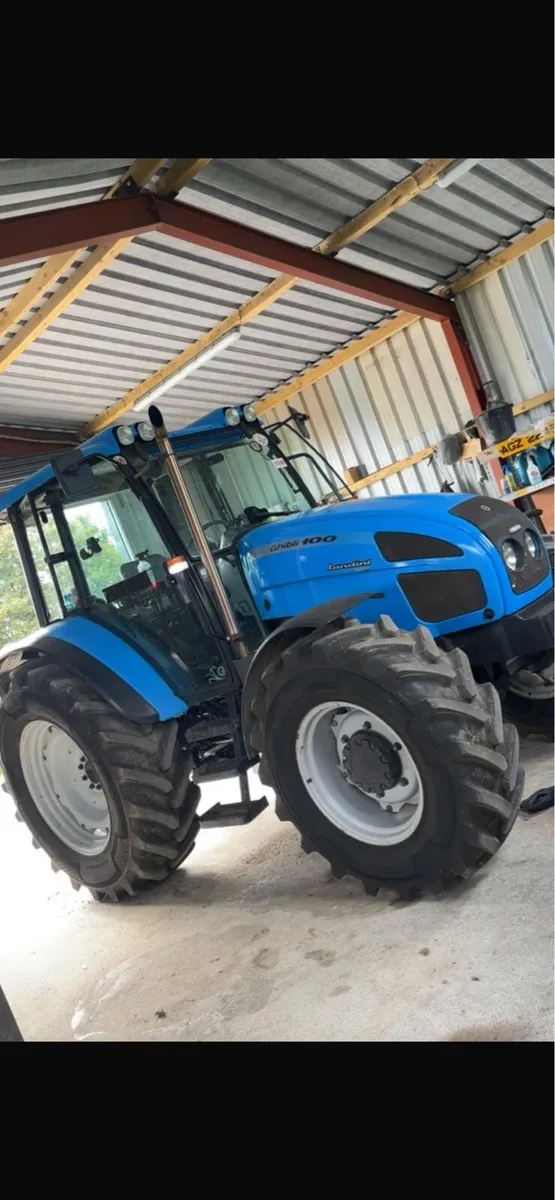 Landini gibila - Image 1