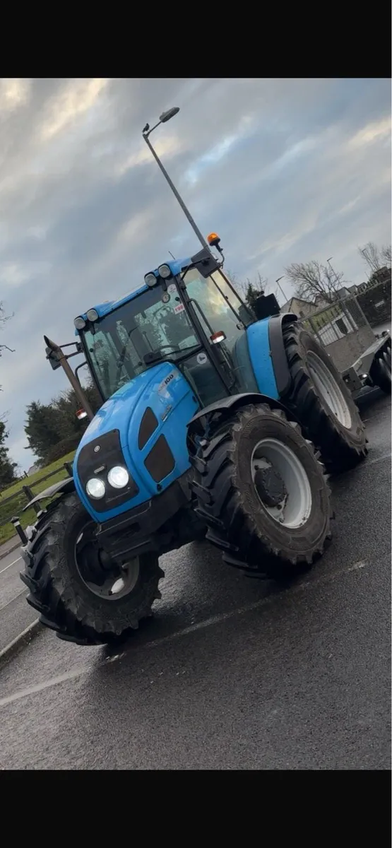 Landini gibila - Image 2