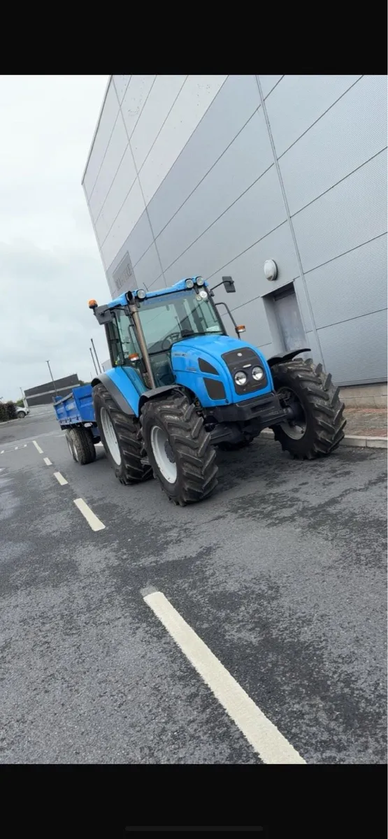 Landini gibila - Image 4