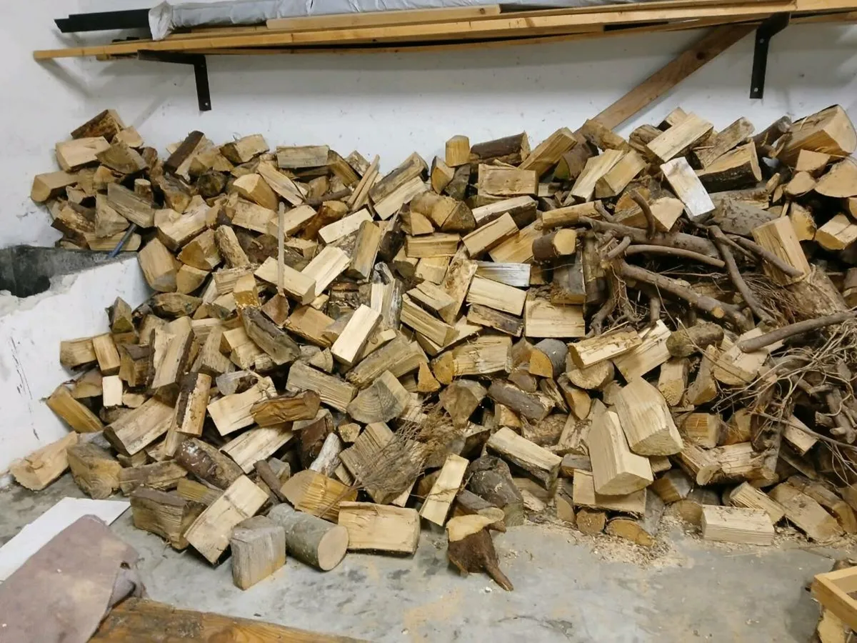 firewood - Image 1