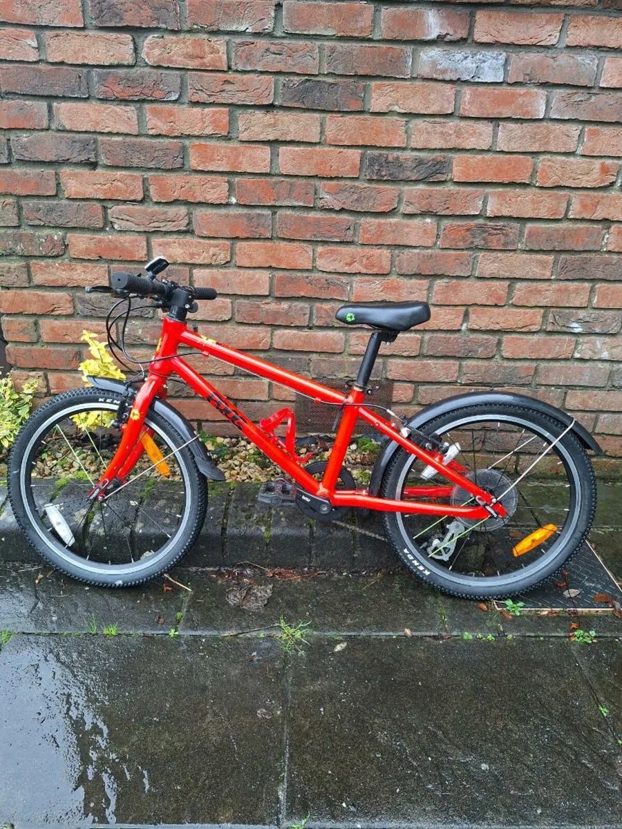 Frog 55 Bike - Image 1