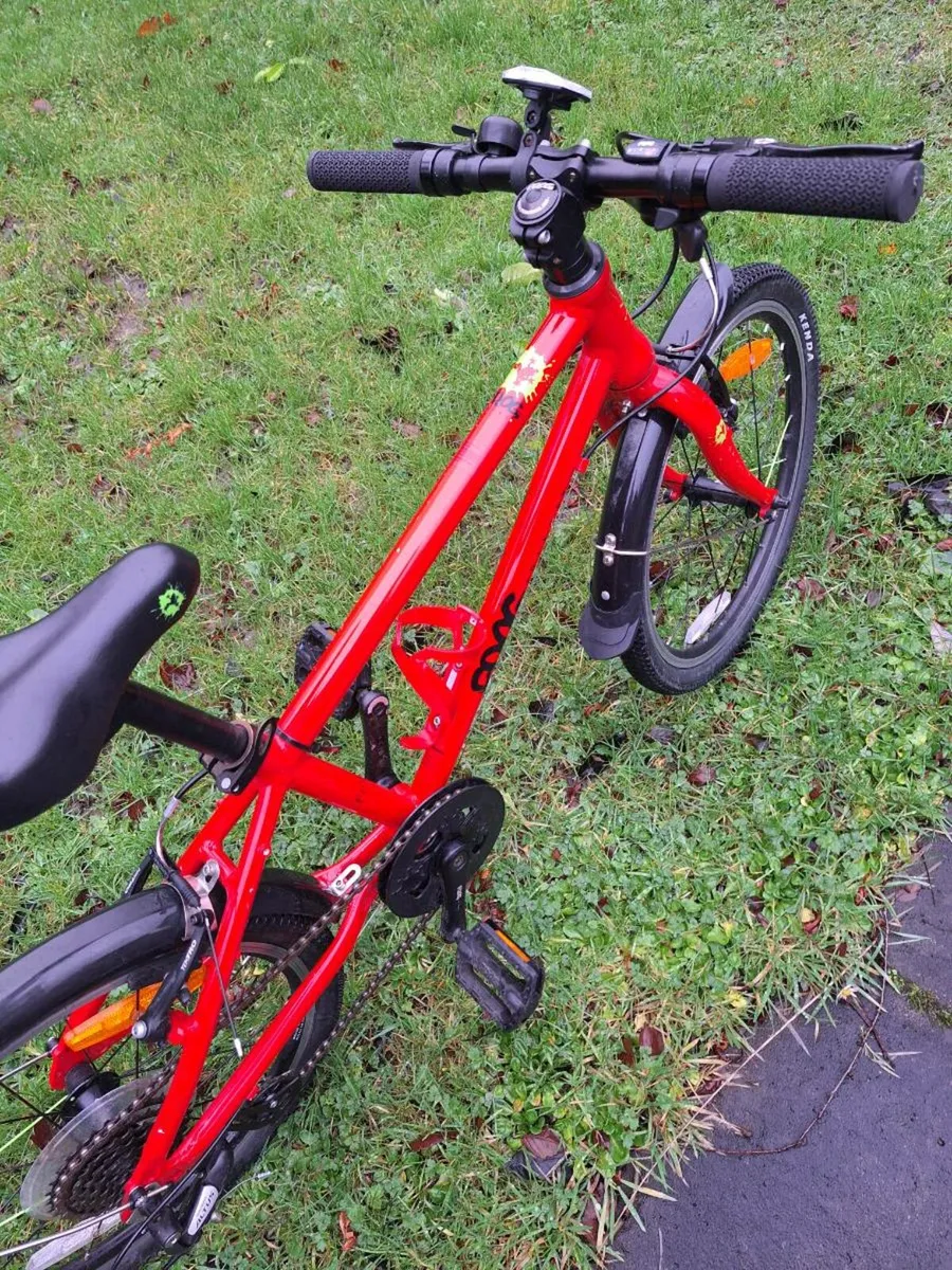 Frog 55 Bike - Image 2