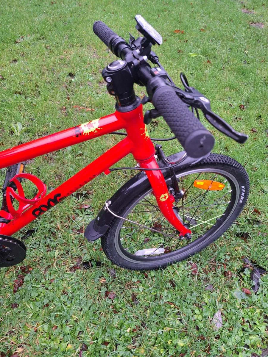 Frog 55 Bike - Image 3