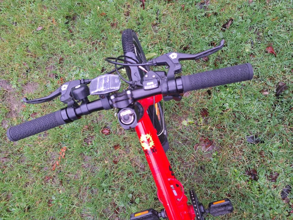 Frog 55 Bike - Image 4