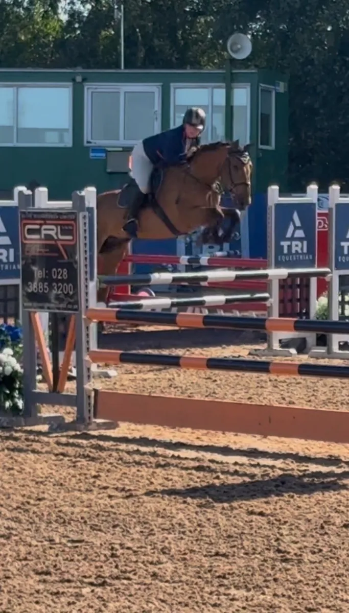 148, Jumper/Allrounder type - Image 1