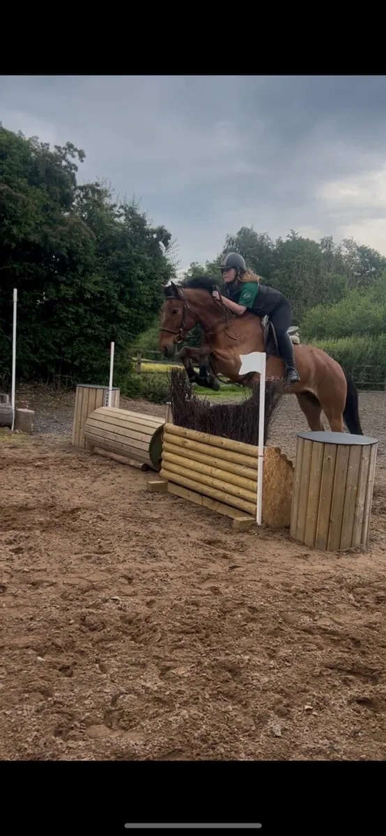 148, Jumper/Allrounder type - Image 2