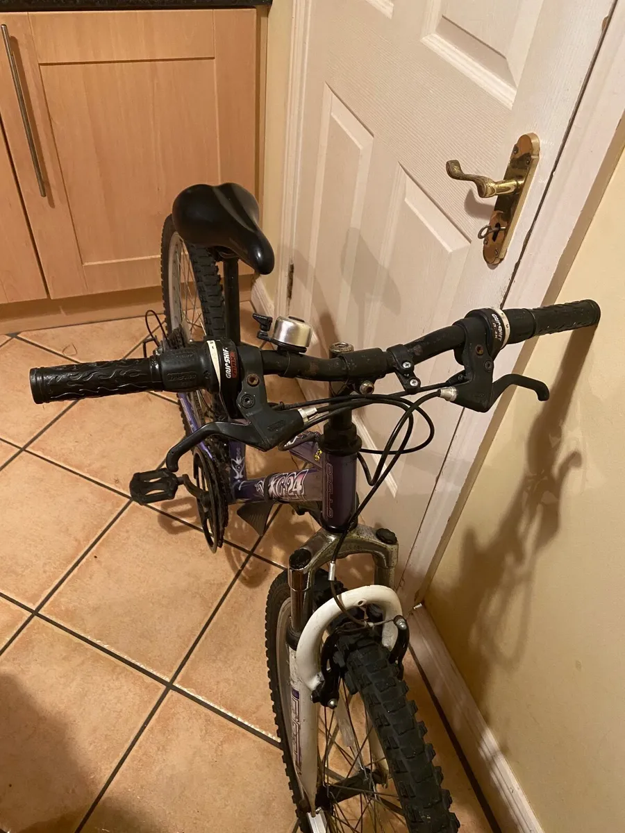 Girls 24 inch Apollo bicycle - Image 4