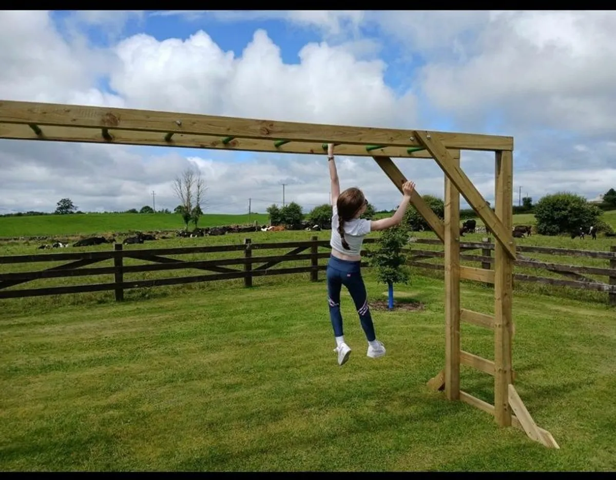Climbing/Monkey frame - Image 3
