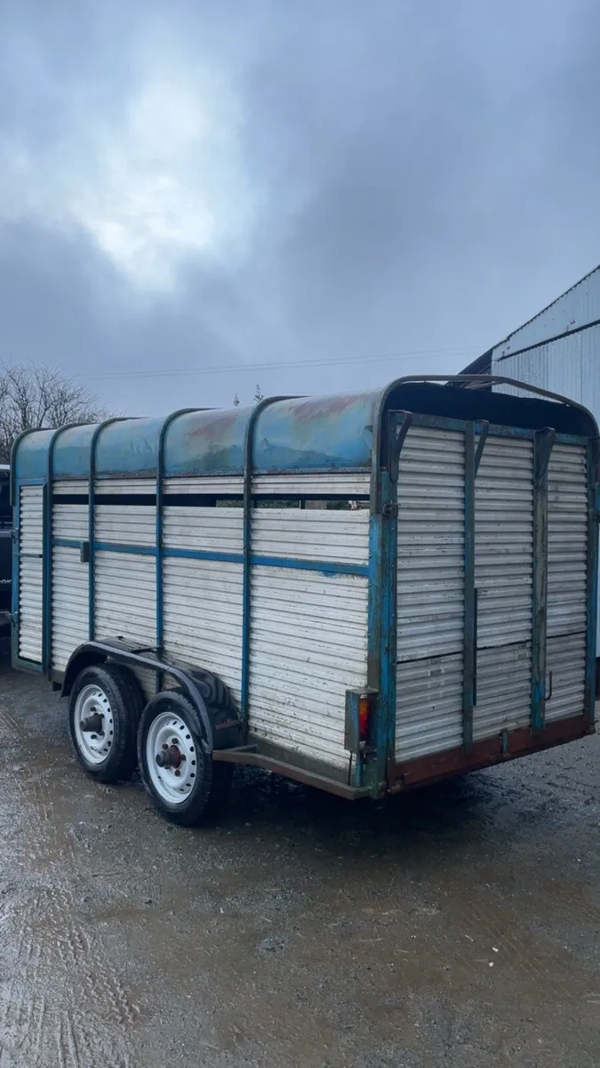 Cattle trailer - Image 2