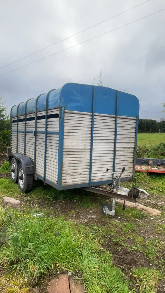 Cattle trailer - Image 4