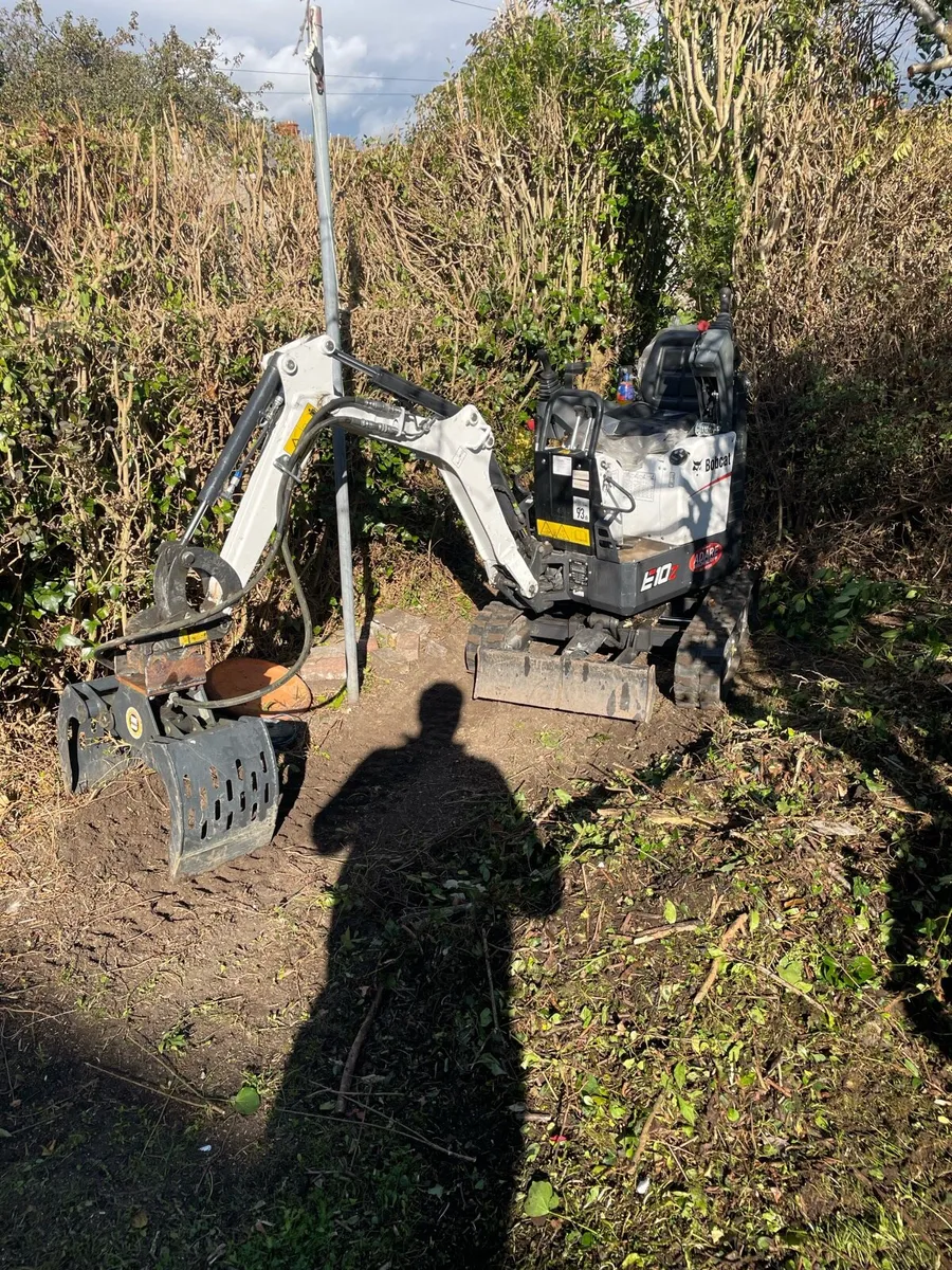 Tree shearing and mulching - Image 4