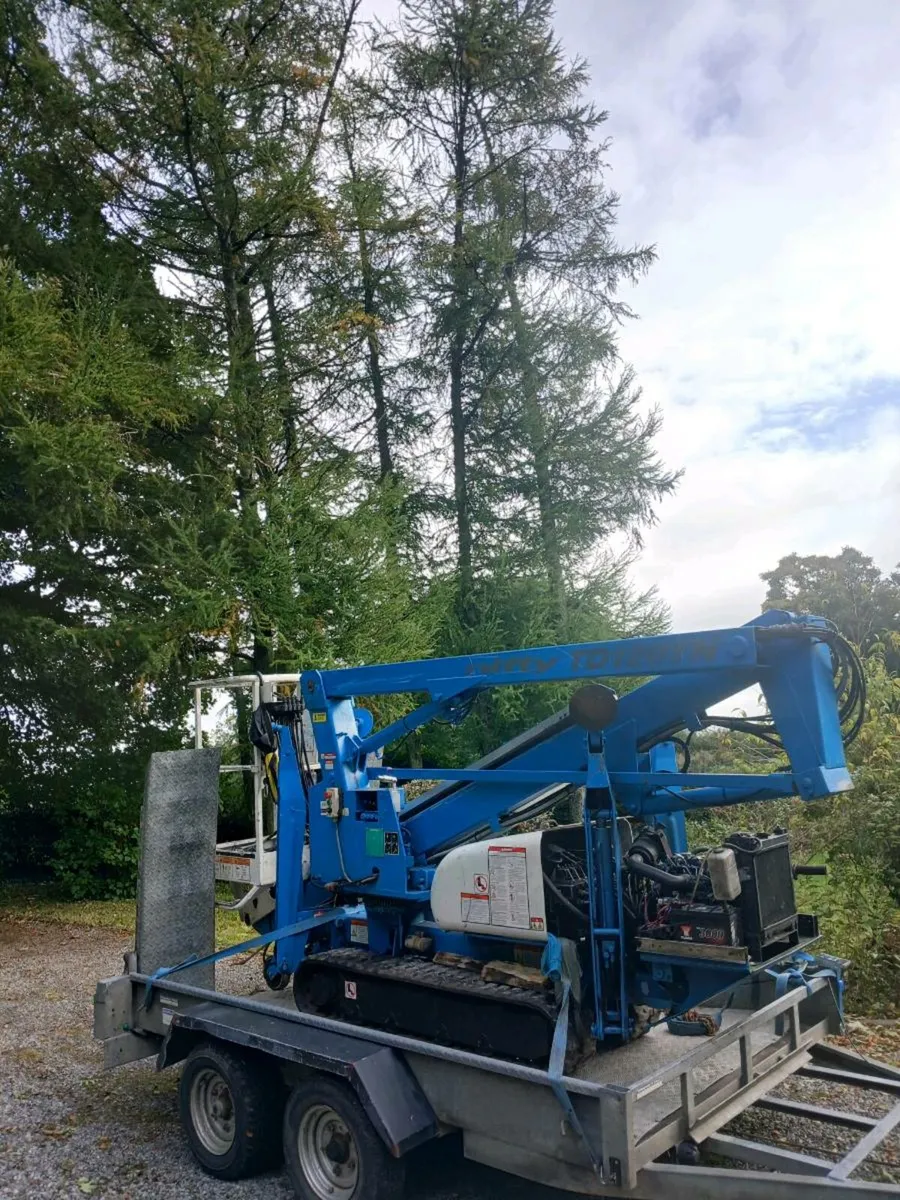 10x6 plant trailer for sale - Image 2