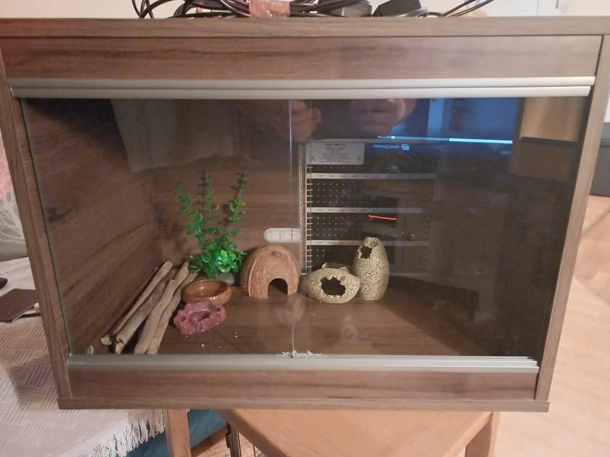 reptile vivarium - Image 1