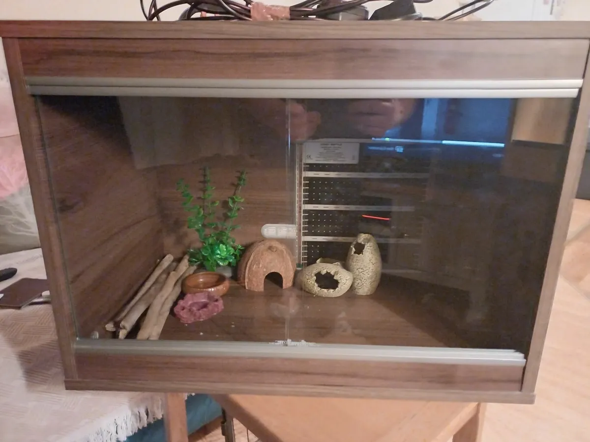 reptile vivarium - Image 2