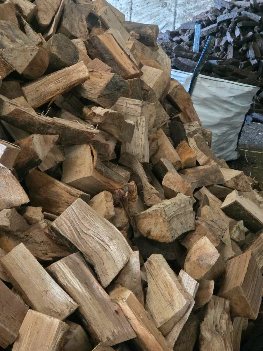 Firewood - Image 2