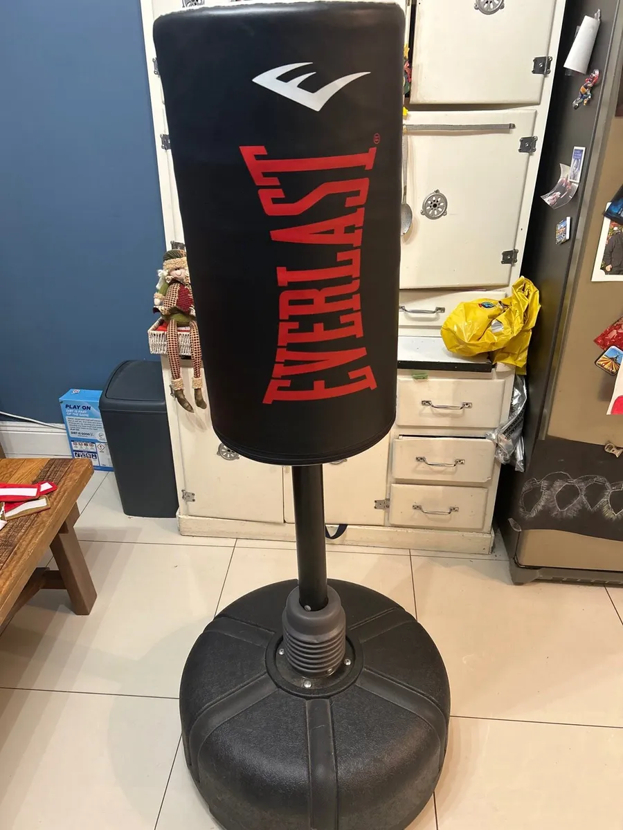 Everlast omniflex boxing bag - Image 1
