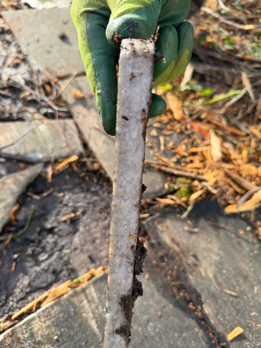 Granite outdoor floor tiles - Image 2