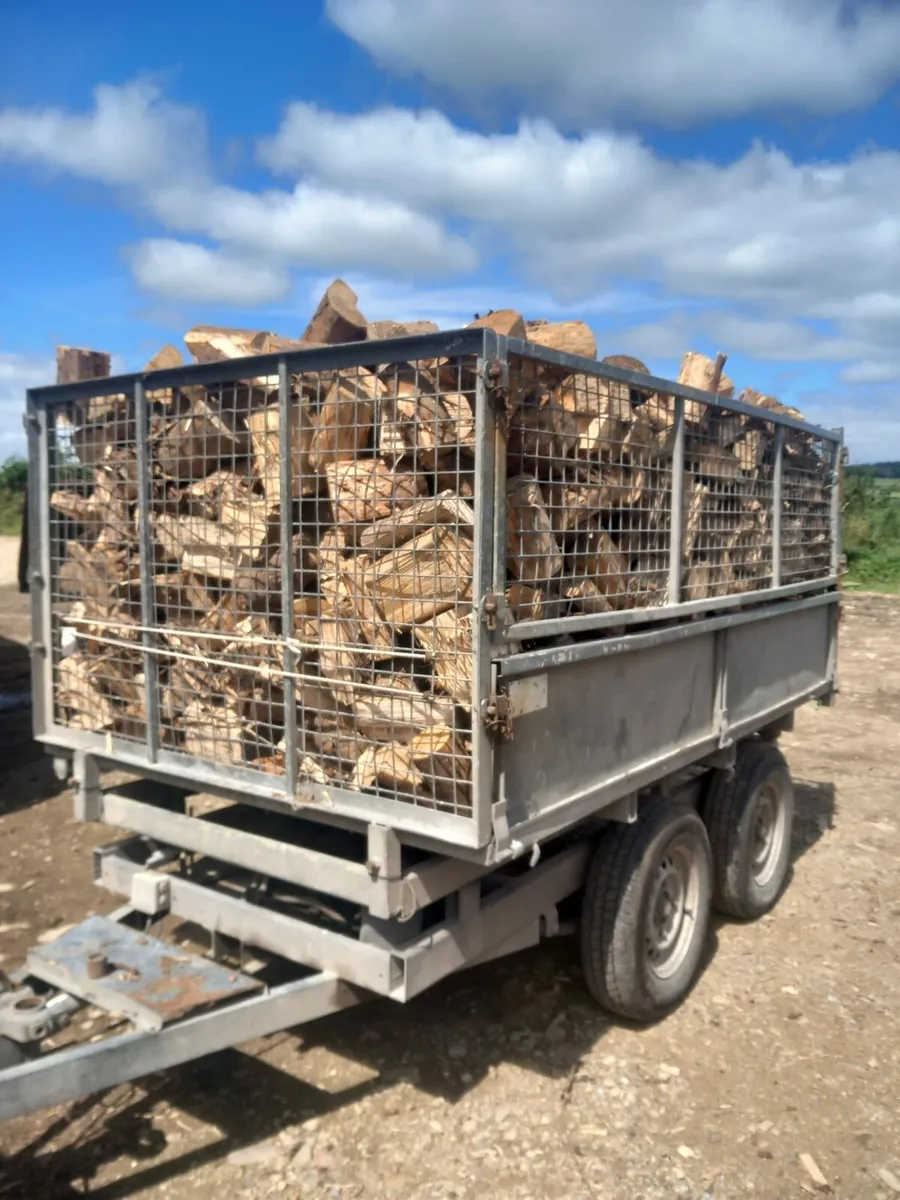 Firewood Cork City - Image 1