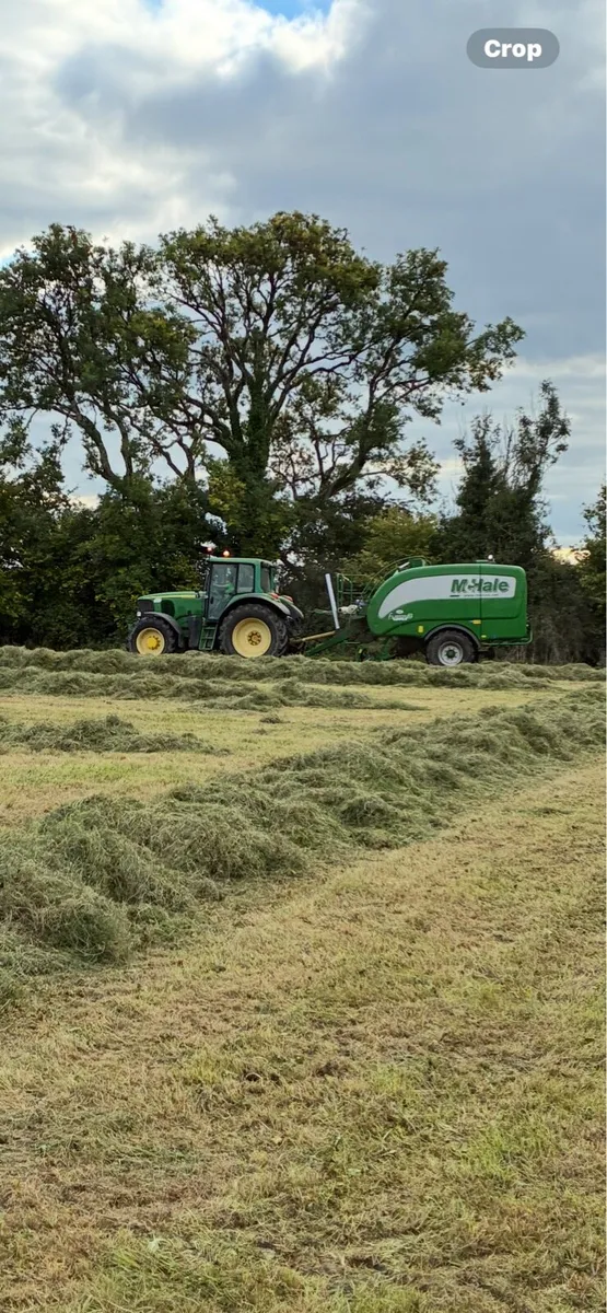 Silage - Image 4