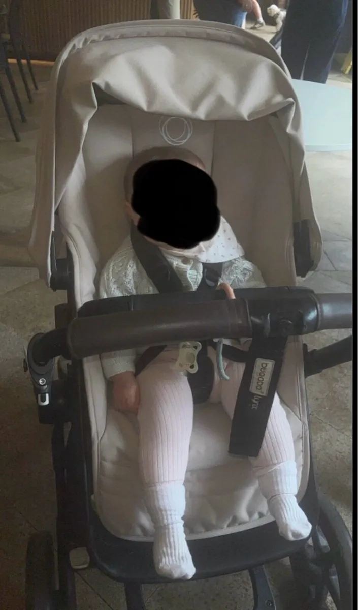 Bugaboo - Image 1