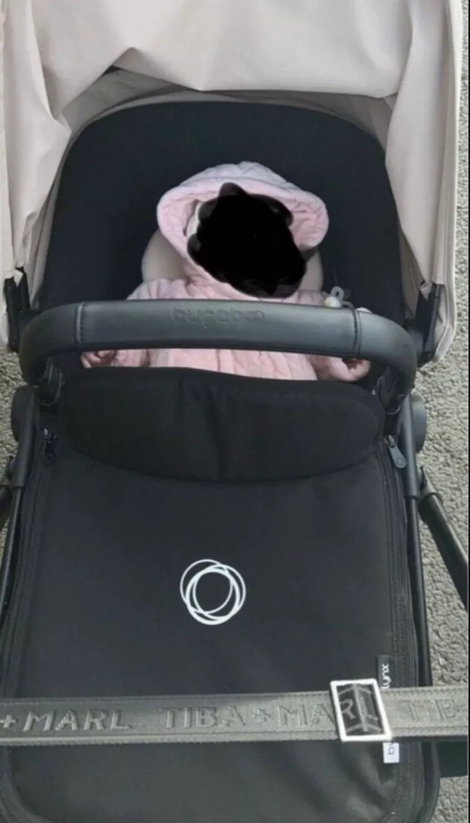 Bugaboo - Image 2