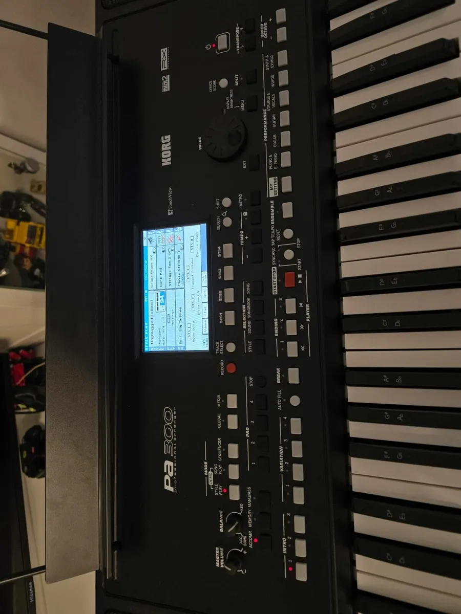 Korg PA300 professional arranger keyboard - Image 1