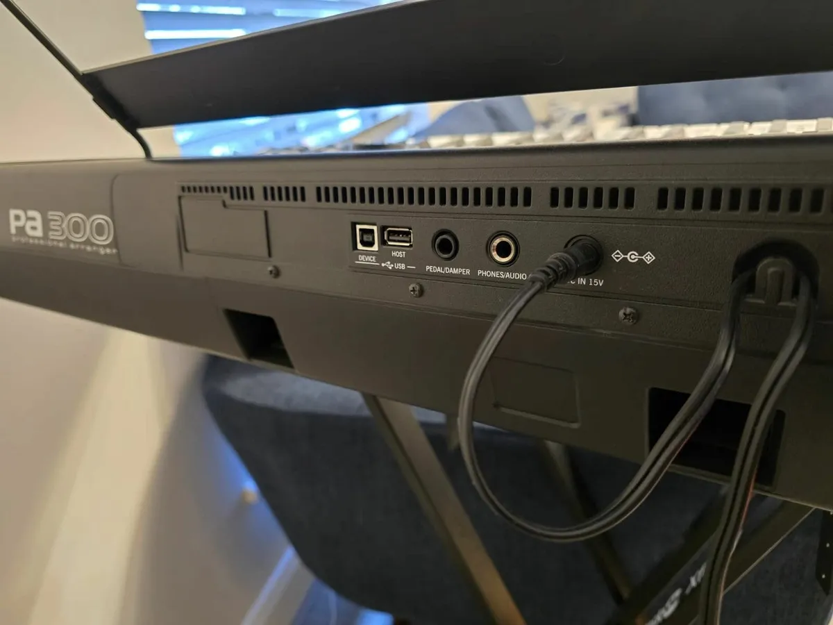 Korg PA300 professional arranger keyboard - Image 2