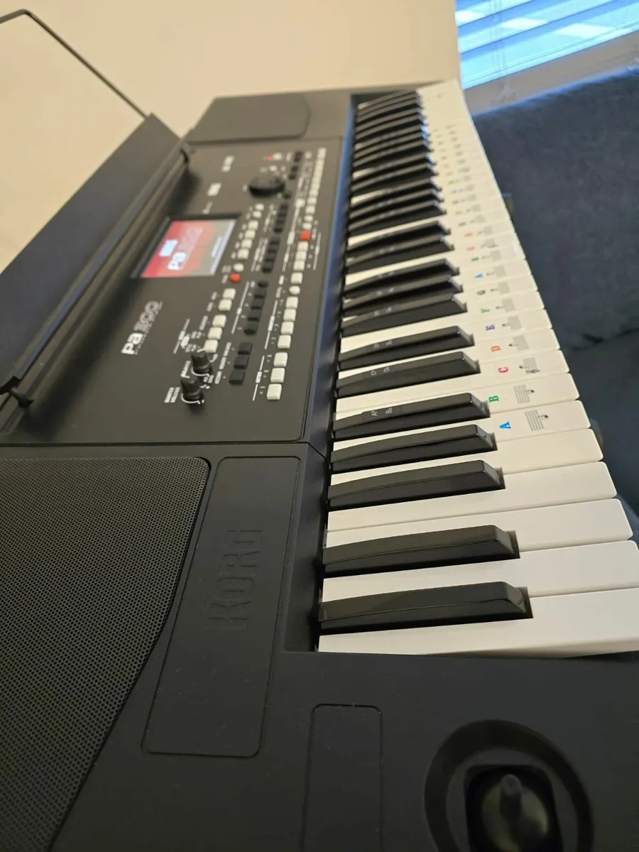 Korg PA300 professional arranger keyboard - Image 3