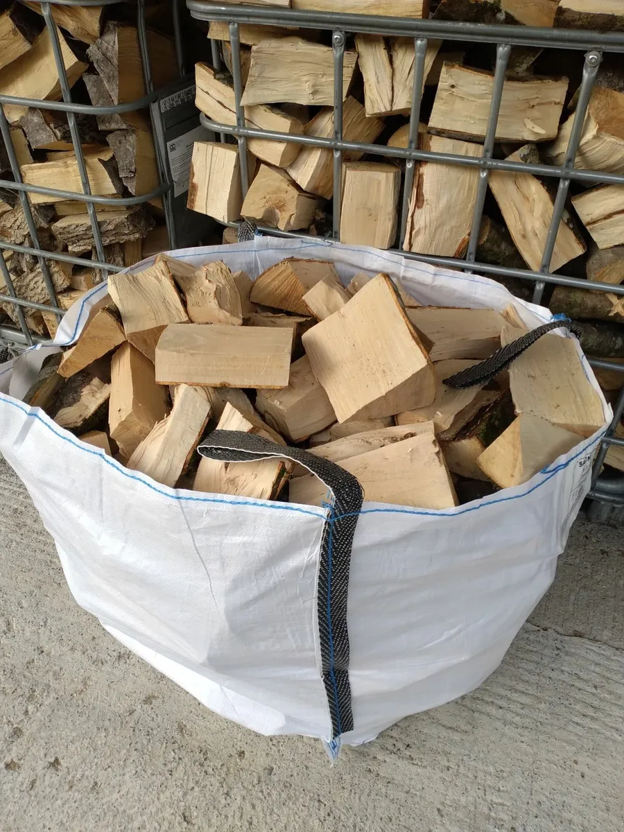 Ash firewood - Image 2