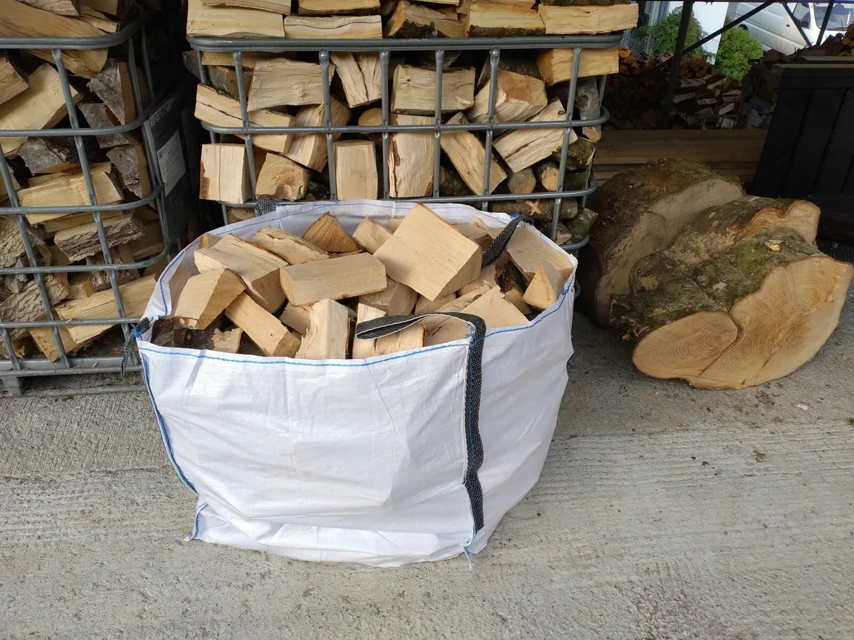 Ash firewood - Image 3