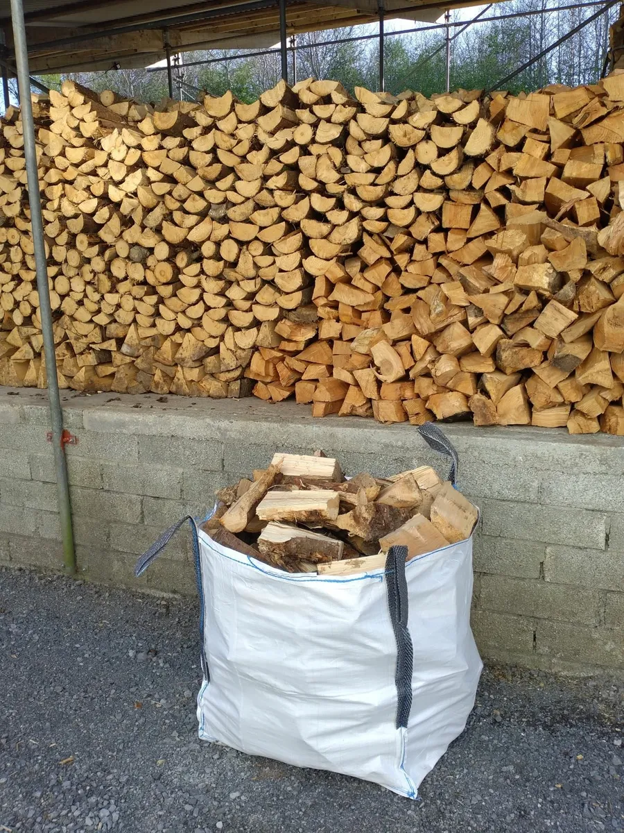 Firewood - Image 4